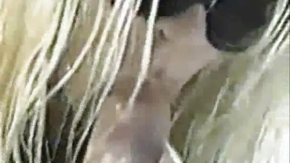 মাই এর, হার্ডকোর, ব্লজব চোদা চুদি ভিডিও চোদা চুদি ভিডিও